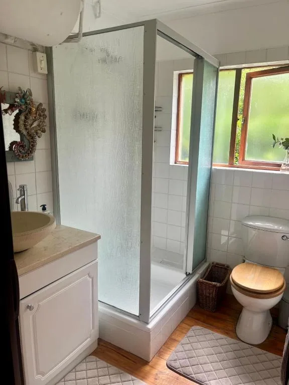 Modern bathroom with shower enclosure, vanity sink, and toilet
