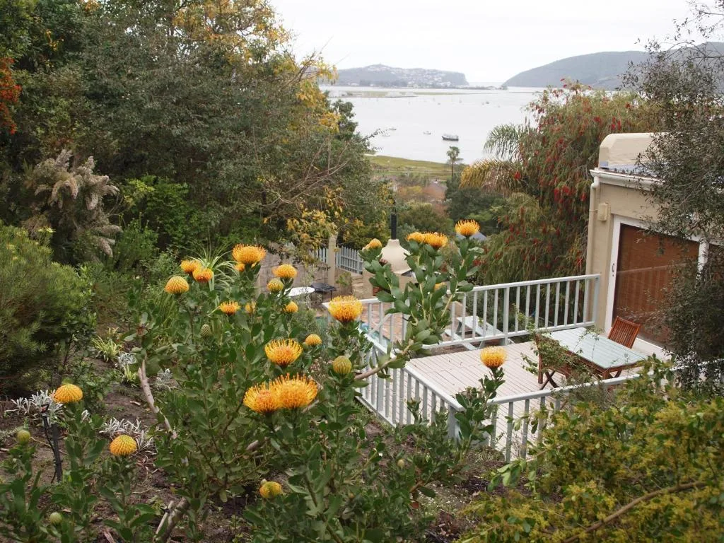 Lagoon vista framed by yellow proteas and native garden plants