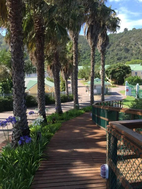 Wooden boardwalk with palm trees and mountain views, property grounds.