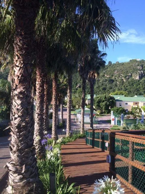 Wooden deck with palm trees overlooking river and lush green hills