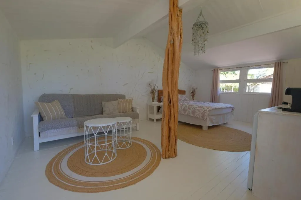 Bright open-plan lounge with sofa, coffee table, and wooden support beam