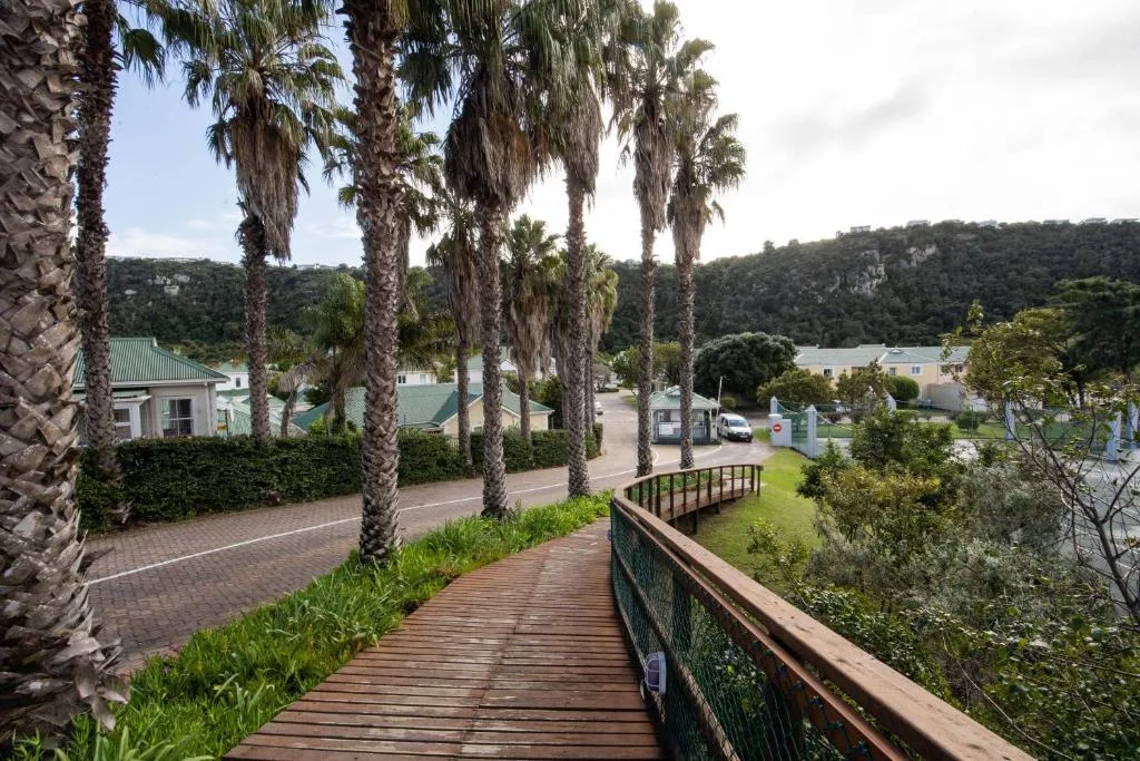 Wooden boardwalk with palm trees overlooking lush gardens and valley