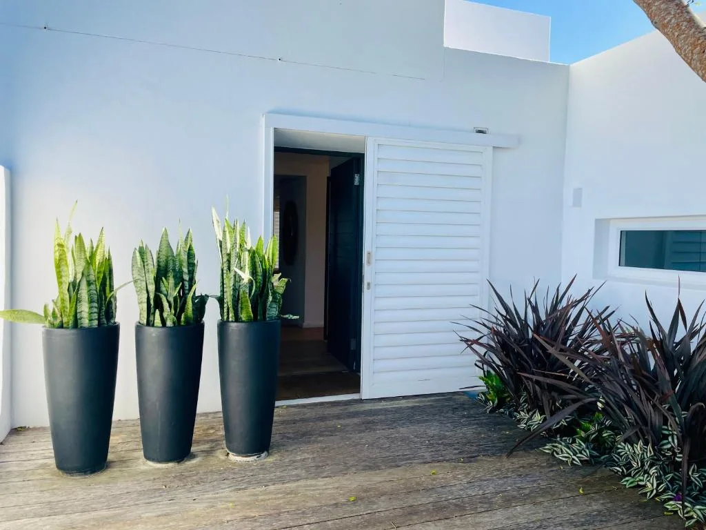 Modern white villa entrance with potted plants and garage door
