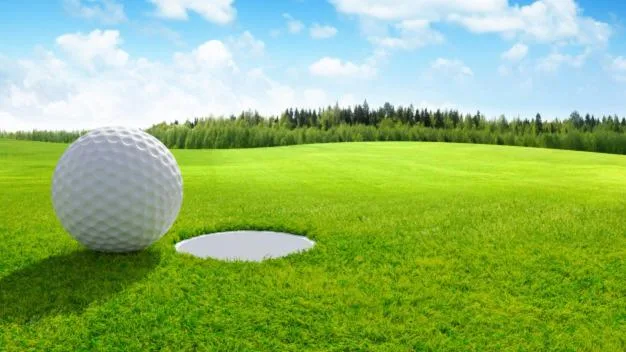 Golf ball on green grass near hole, property amenity