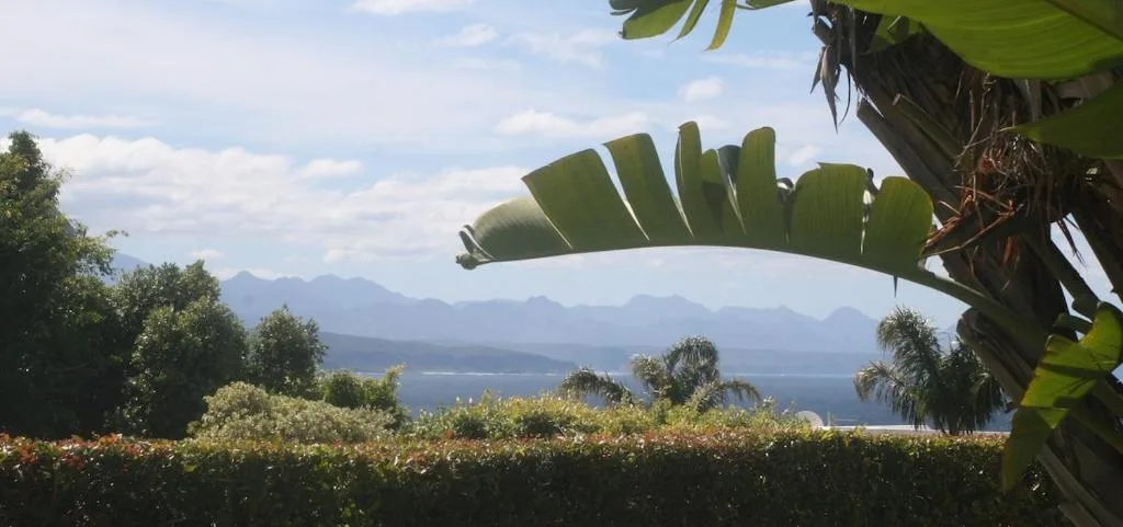 Mountain and lagoon vista framed by lush tropical garden foliage