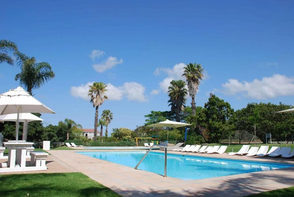 Sparkling blue swimming pool with loungers and palm trees under clear sky