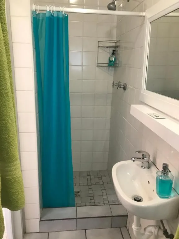 Compact bathroom with shower, pedestal sink, and turquoise curtain