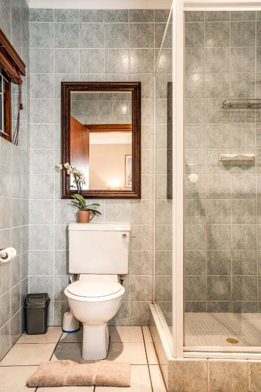 Tiled bathroom with toilet, framed mirror, and walk-in shower enclosure