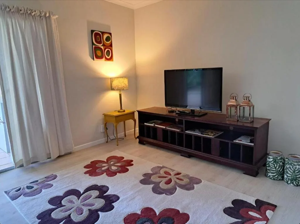 Modern living room with TV, decorative rug, side table lamp, and curtained windows