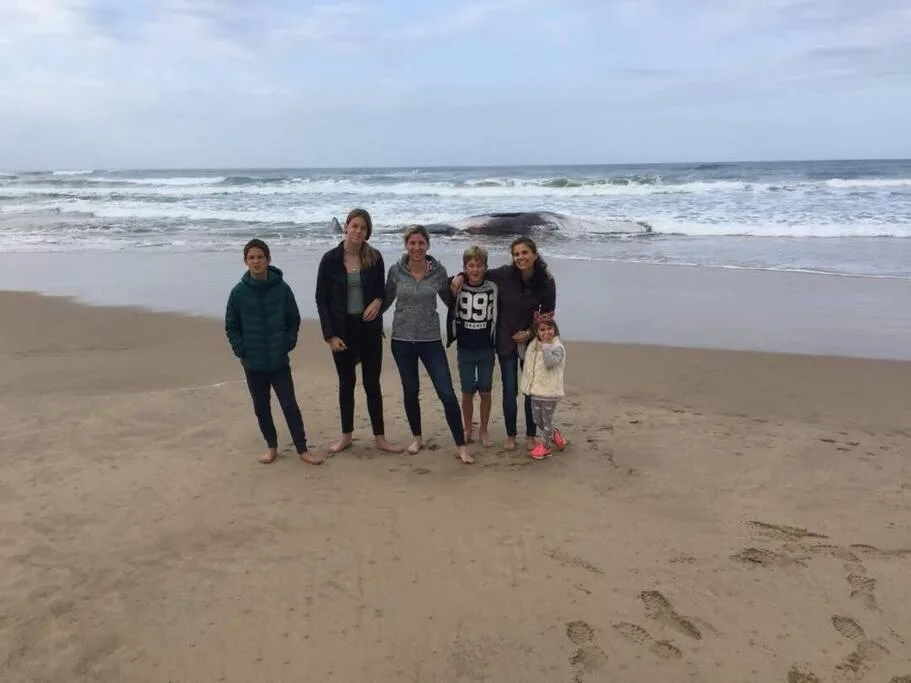Sandy beach with ocean waves and people enjoying the coastal scenery