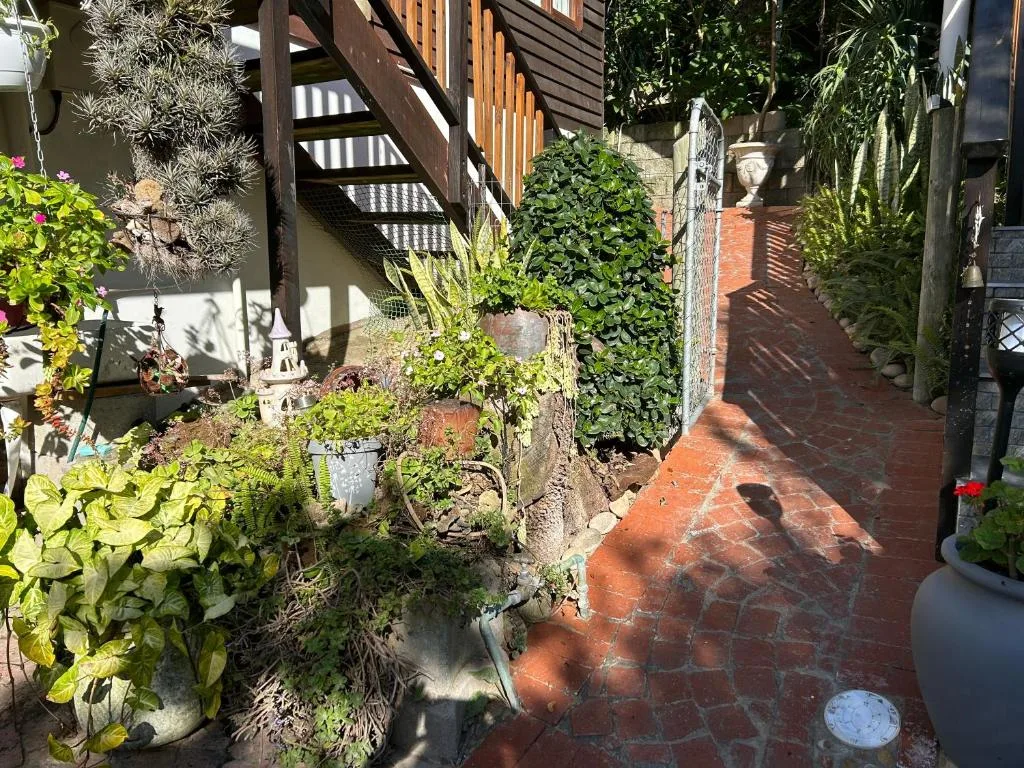 Lush garden courtyard with potted plants and brick pathway