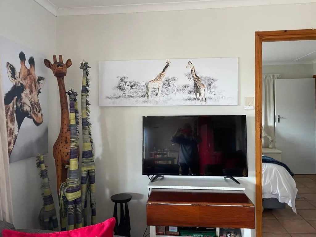 Living room with TV, African wildlife artwork, and colorful decor