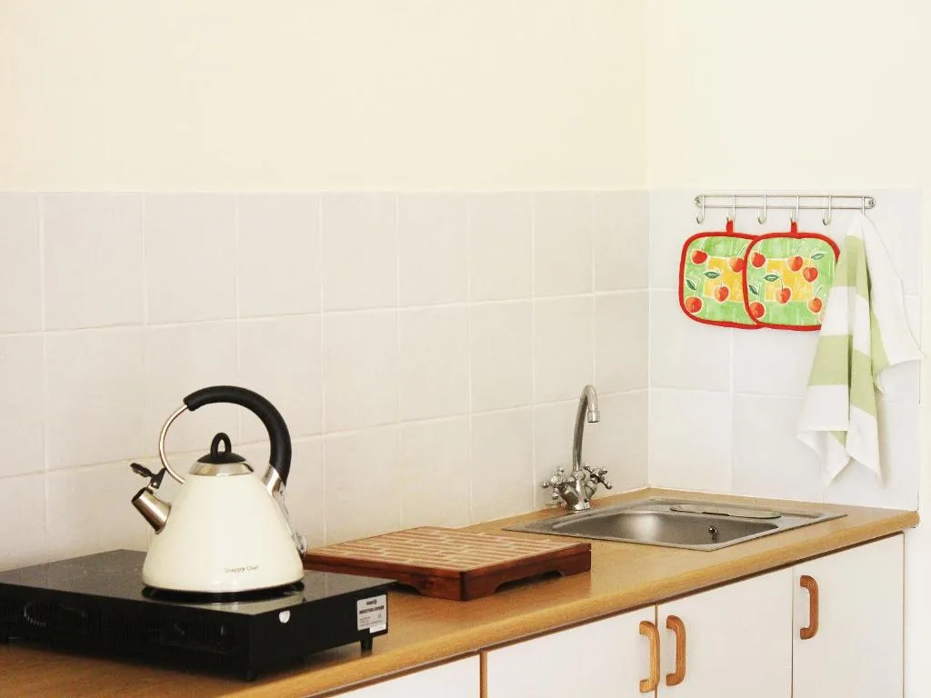 Compact kitchen with wooden countertop, white kettle, and stainless sink