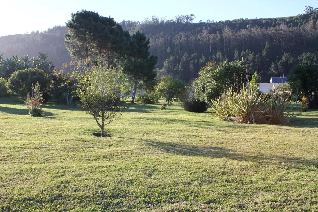 Spacious garden with forested mountains and property visible in distance