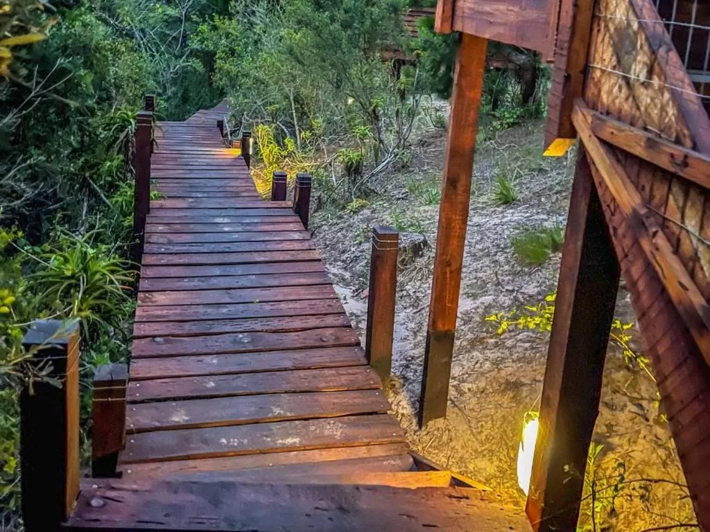 Wooden boardwalk pathway through lush gardens with evening lighting