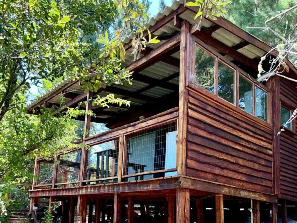 Modern wooden cabin with elevated deck surrounded by lush green trees