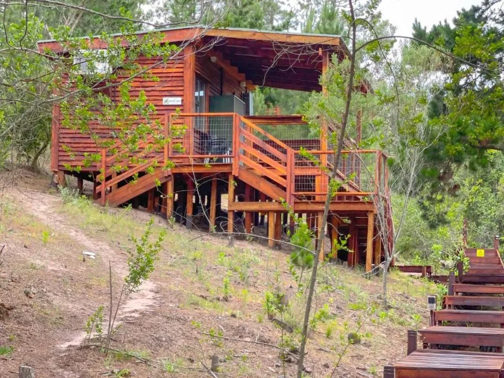 Rustic red wooden cabin nestled among tall trees with deck and stairs