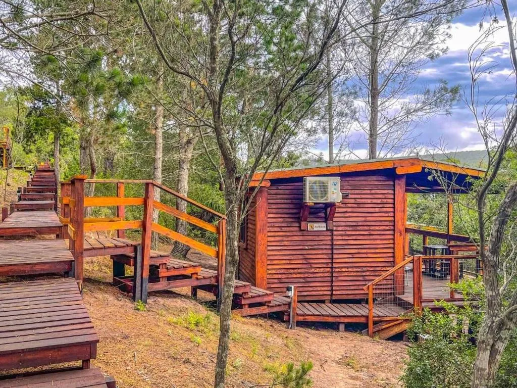 Rustic wooden cabin nestled among tall trees with deck access