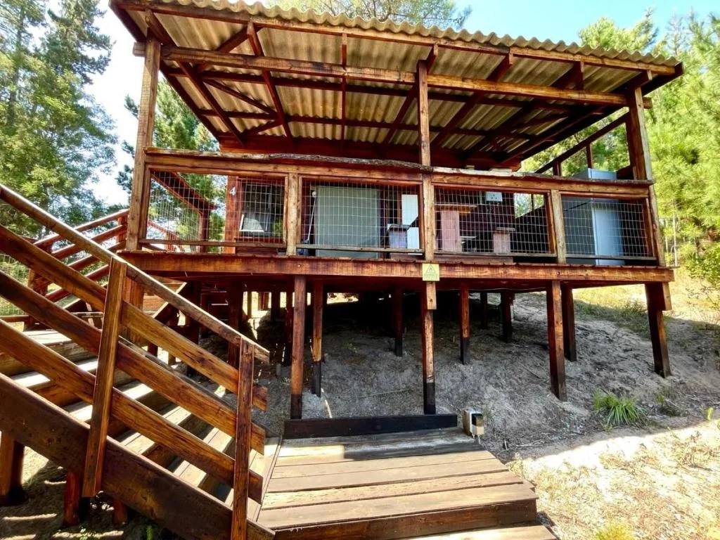 Rustic elevated timber cabin with corrugated iron roof and wooden deck stairs