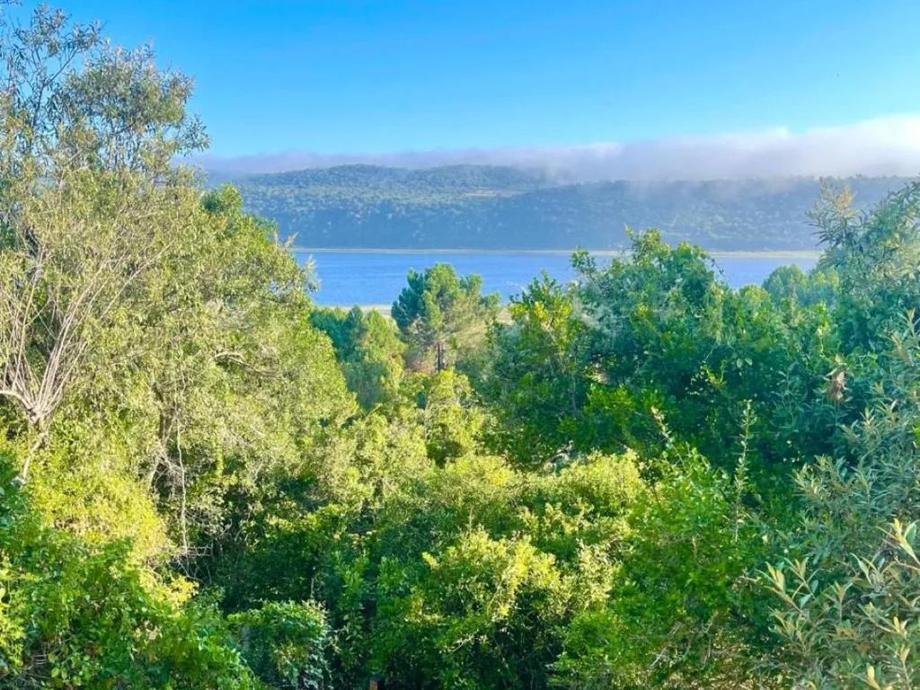 Scenic lagoon view through lush green trees with distant mountains