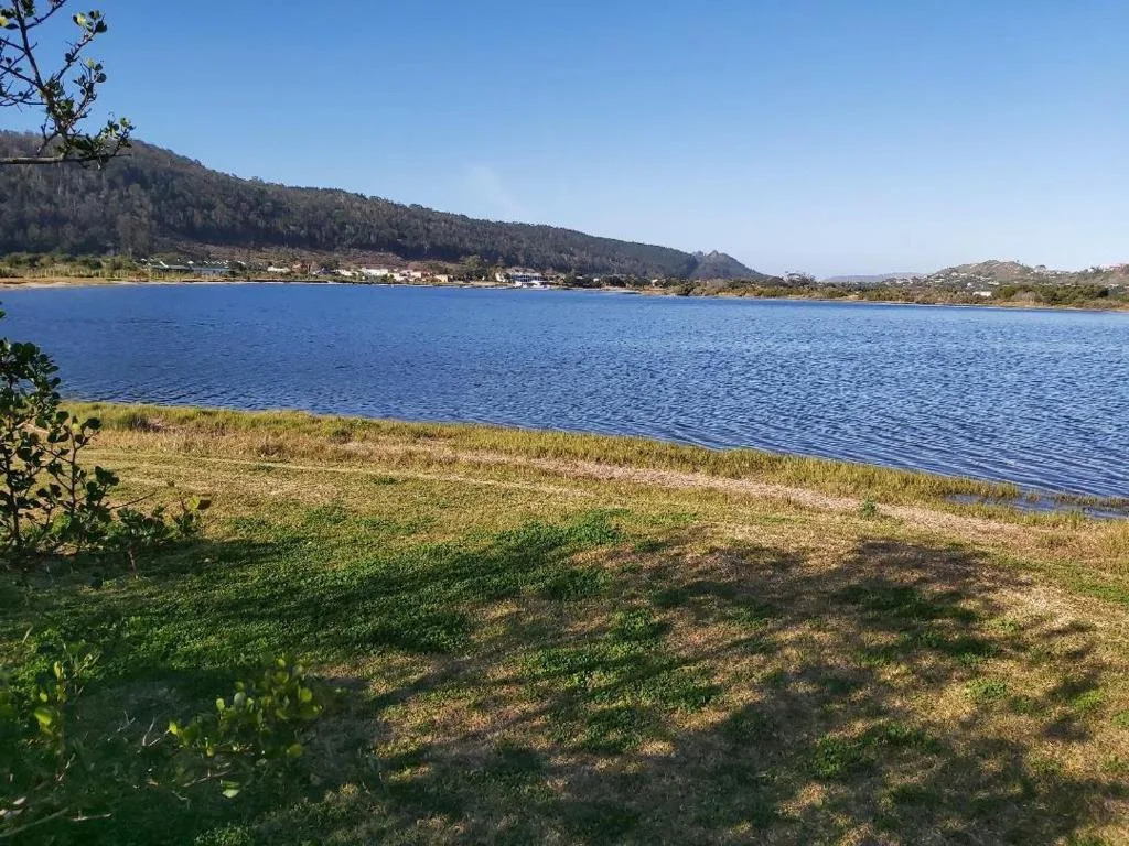 Scenic lake view with forested mountains and coastal township beyond