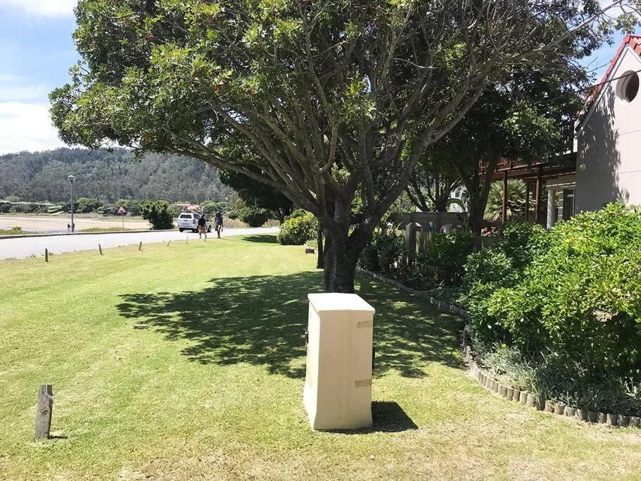 Spacious garden with large tree and lagoon views in background