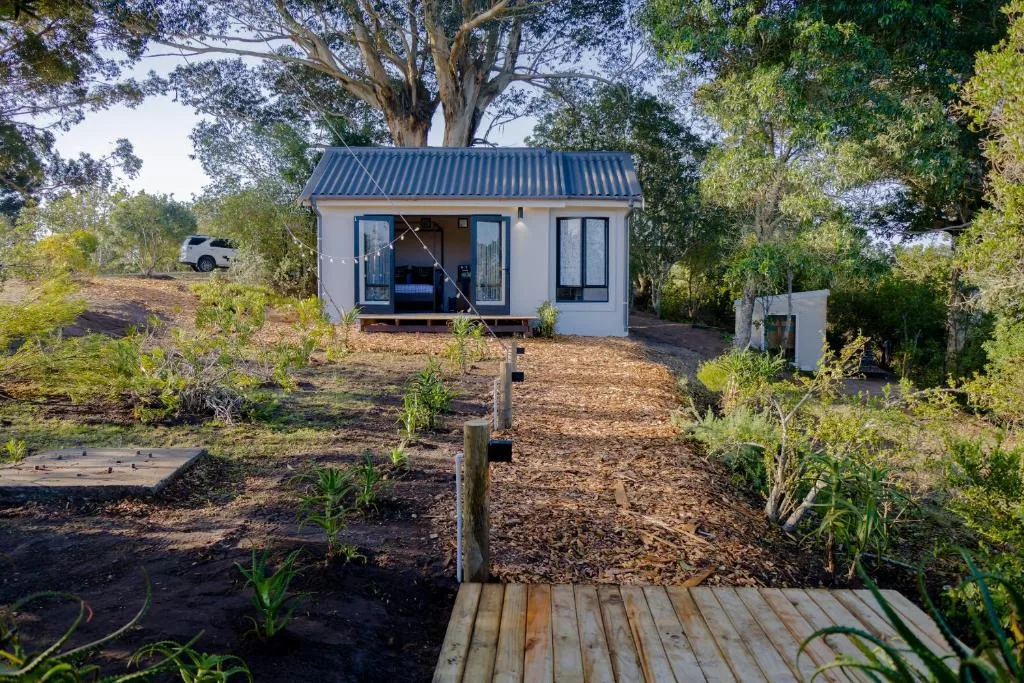 Modern white cottage with metal roof nestled under mature trees in natural setting