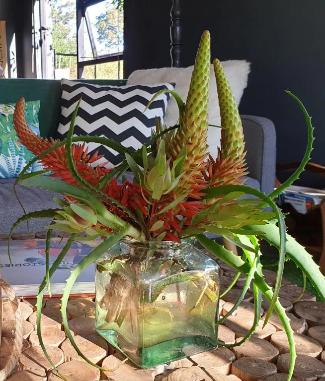 Vibrant tropical flower arrangement in glass vase on lounge table