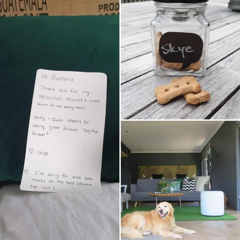 Guest thank you note, dog treats jar, and friendly dog in lounge area