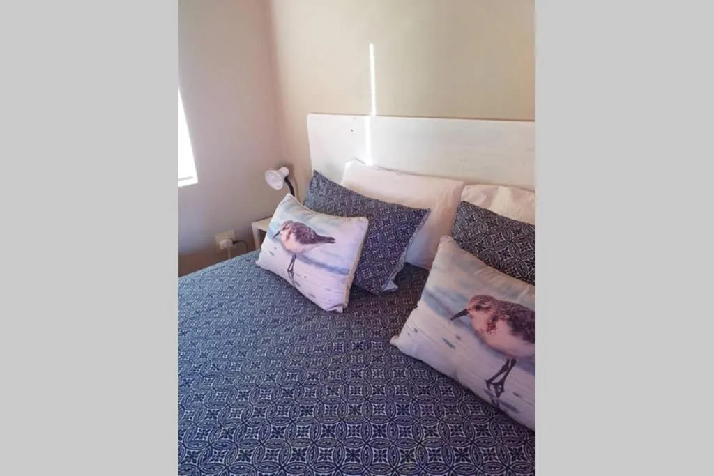 Bed with decorative bird pillows and patterned blue bedding in bright bedroom