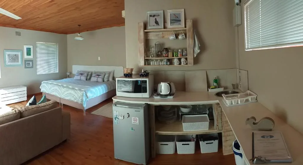 Studio apartment showing kitchen area with appliances and storage shelving