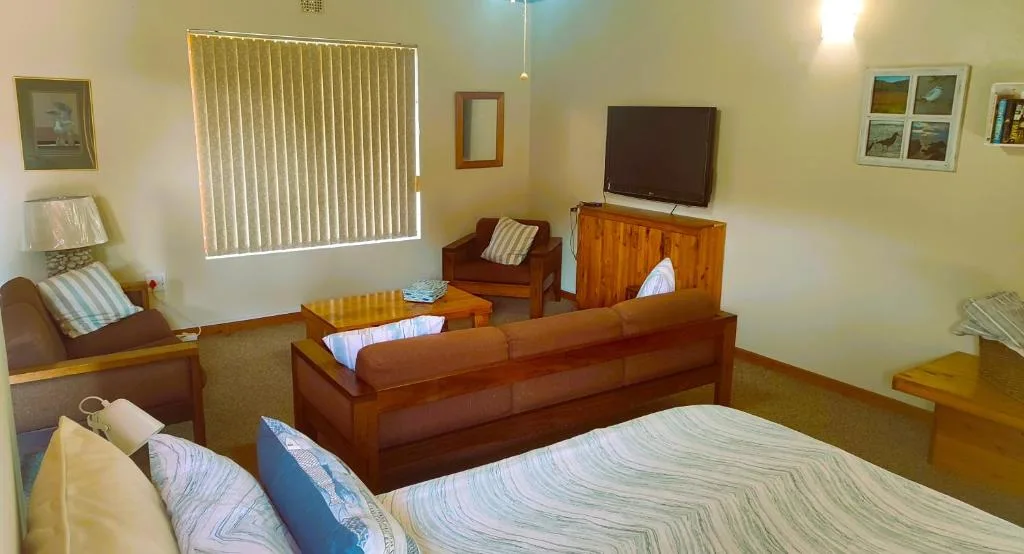 Spacious lounge with brown sofa, TV, comfortable seating and large windows