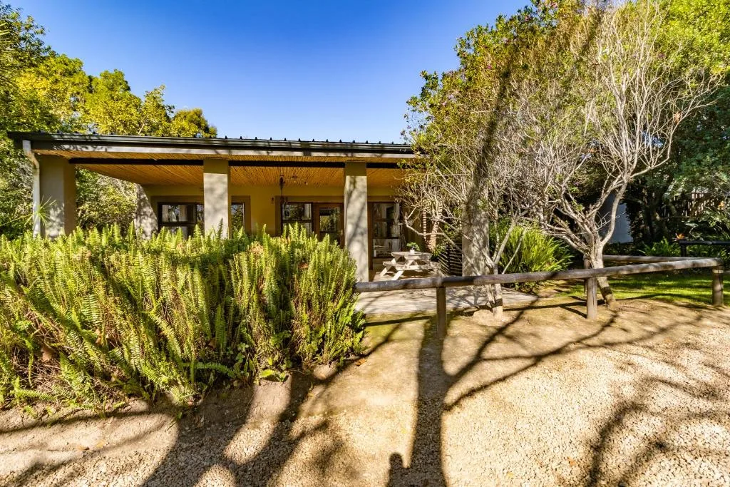 Modern cream-colored chalet with wooden deck surrounded by native plants and mature trees