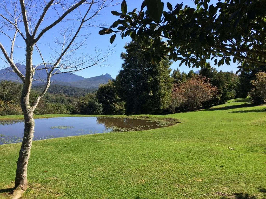 Lush green lawns with mountain peaks and pond under clear blue sky