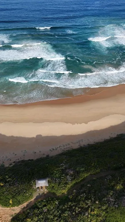 Aerial view of pristine beach with turquoise waves and golden sand