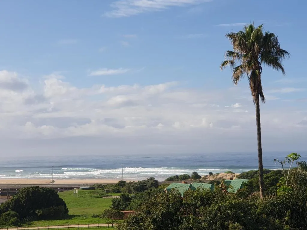 Ocean and beach vista with palm tree and green grounds