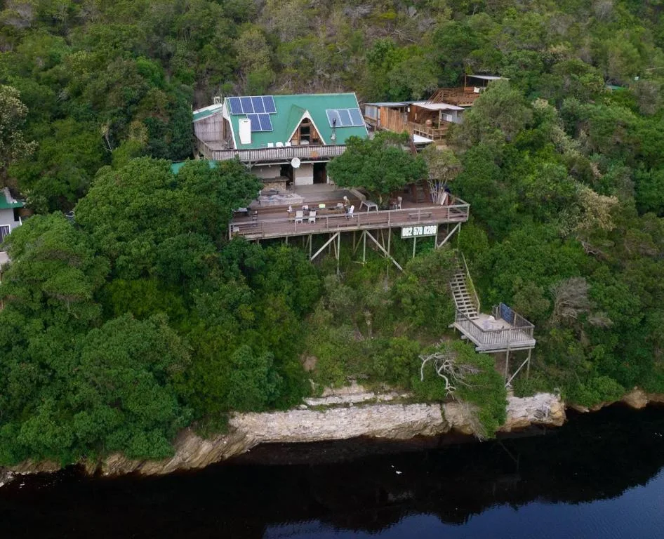 Elevated timber house with green roof nestled among dense forest vegetation overlooking water