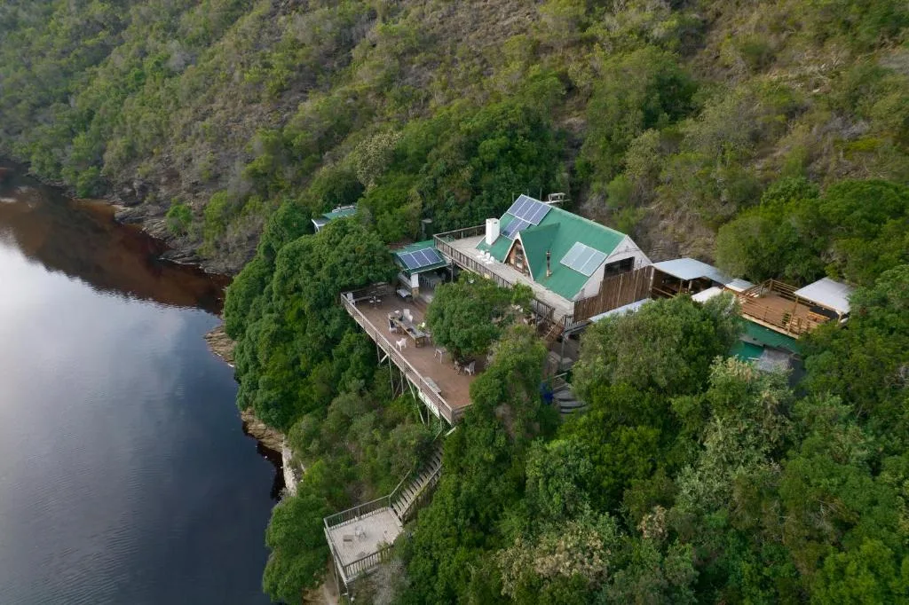 Riverside lodge nestled among indigenous forest with wooden decking platforms