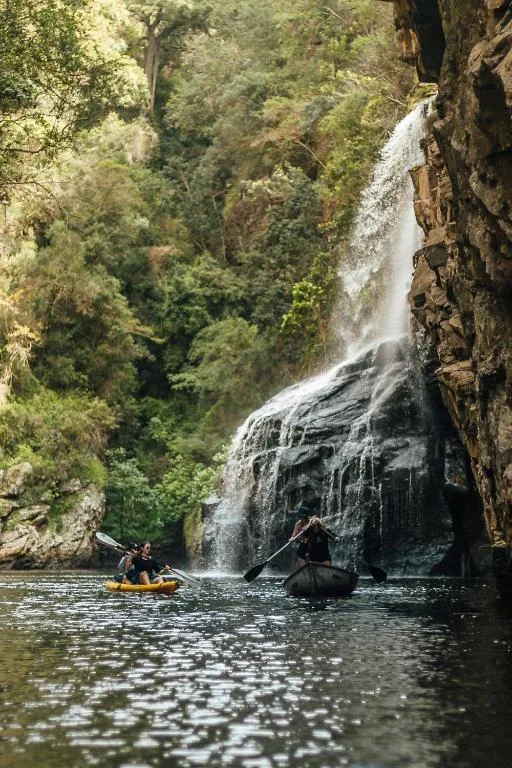 Waterfall cascades into river gorge surrounded by lush green cliffs