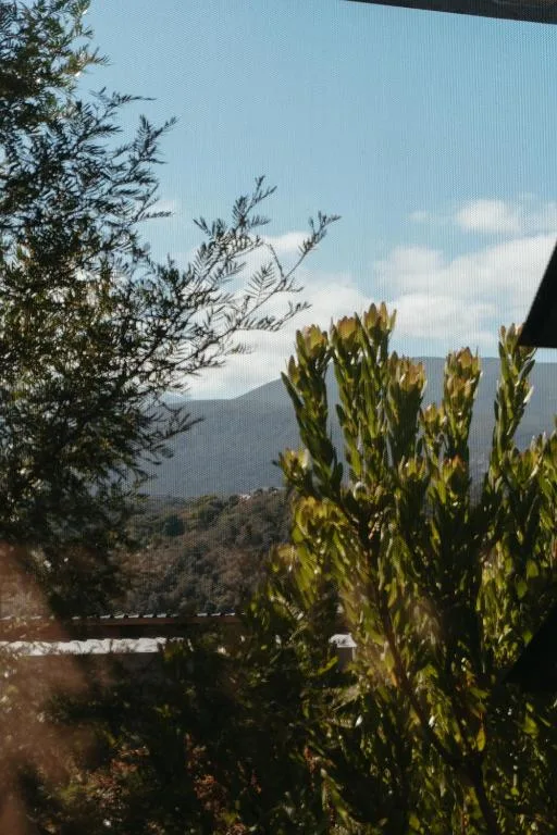 Mountain landscape visible beyond garden with native vegetation and sky