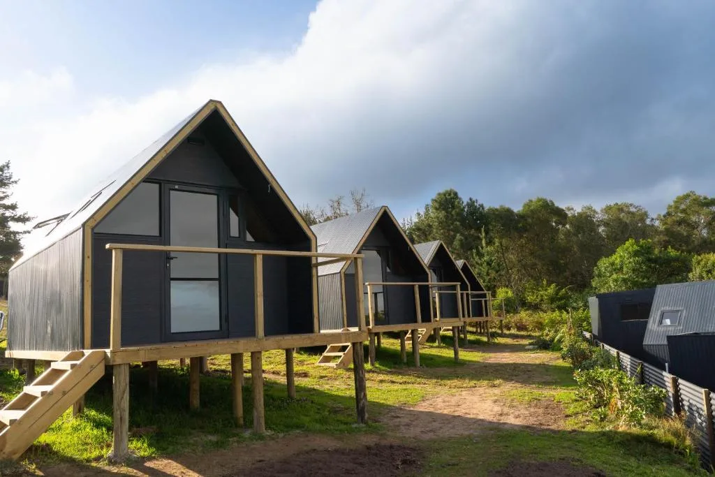 Modern black A-frame glamping cabins with wooden decks nestled in green surroundings