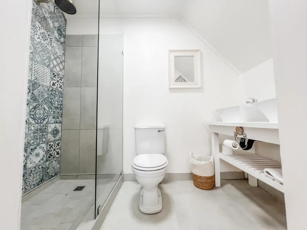 Modern bathroom with walk-in shower, toilet, and storage shelving under sloped ceiling