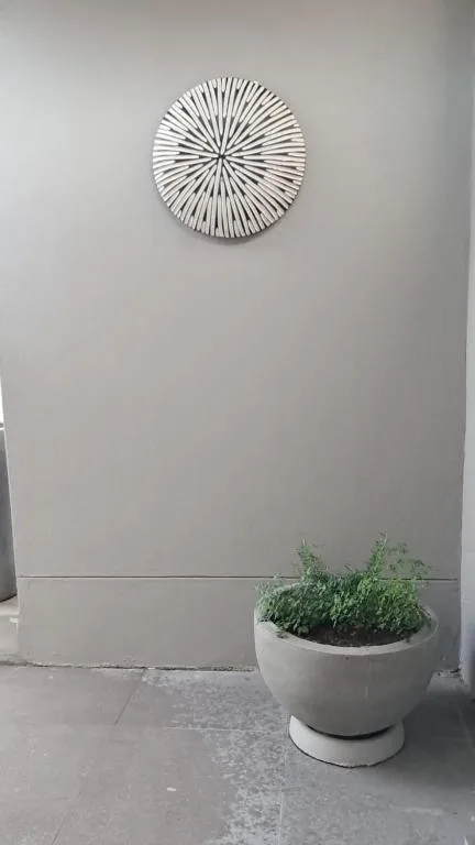 Minimalist wall decor and potted plant against clean exterior wall