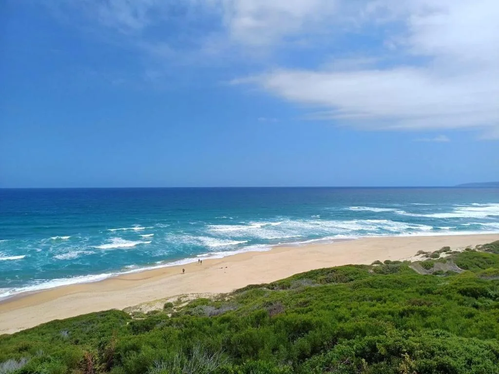 Pristine golden beach with turquoise ocean waves and coastal vegetation