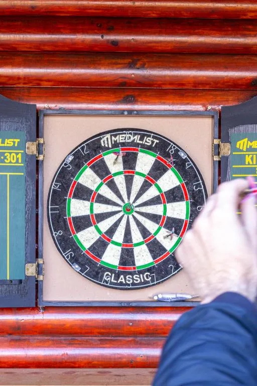 Dartboard mounted on wooden cabin wall with player's hand visible
