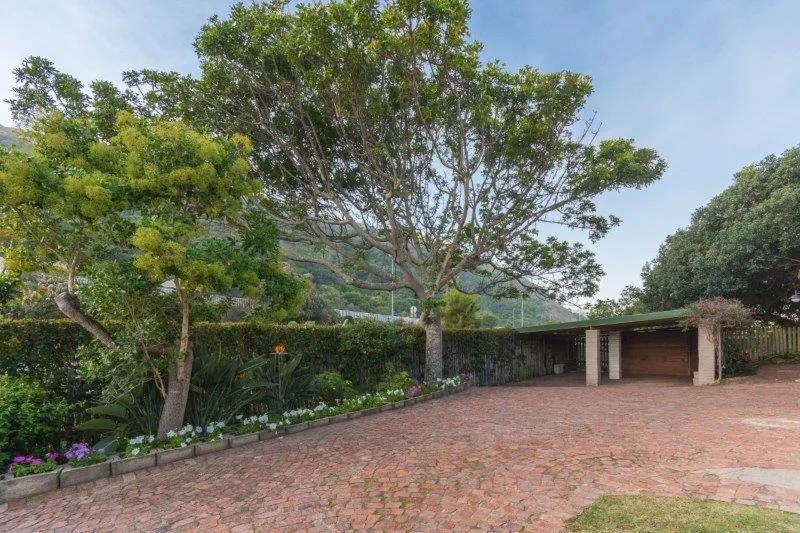 Brick driveway with mature trees and established garden landscaping