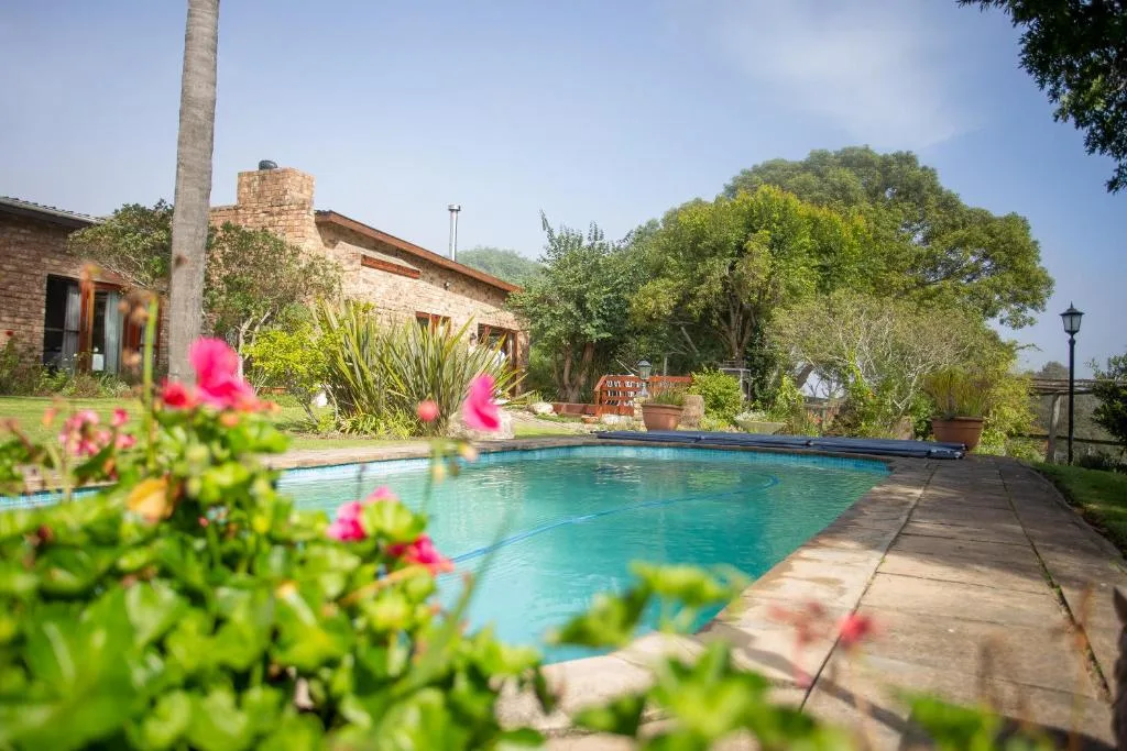 Crystal clear swimming pool surrounded by flowering shrubs and stone paving