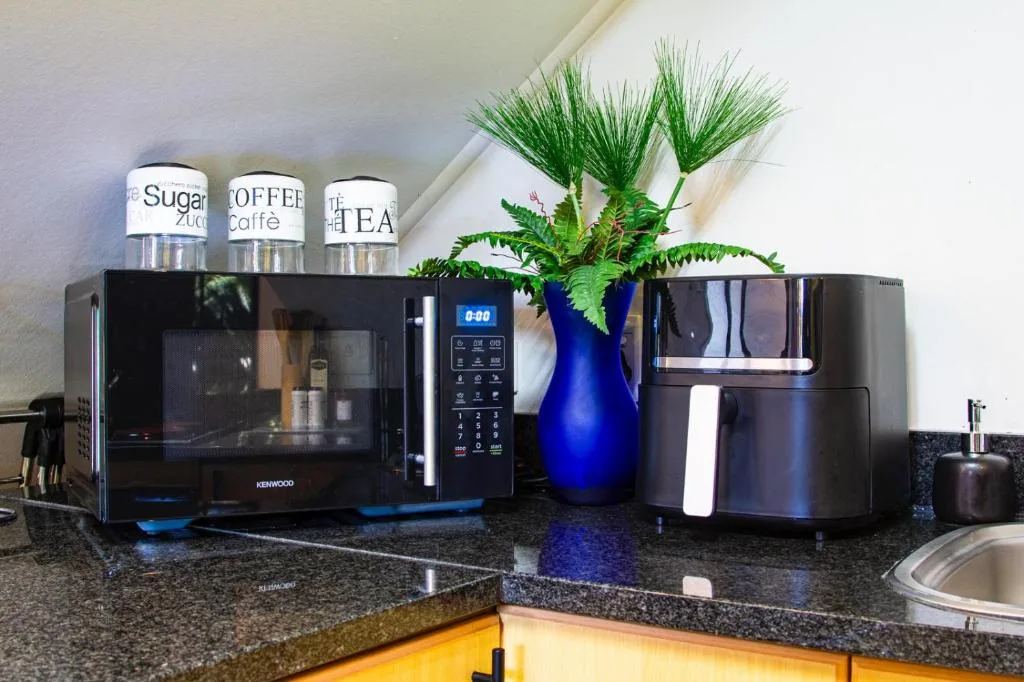 Black granite kitchen counter with microwave, coffee maker, and decorative plant