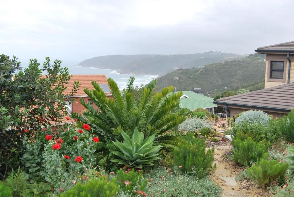 Coastal valley view with ocean and forested mountains from garden
