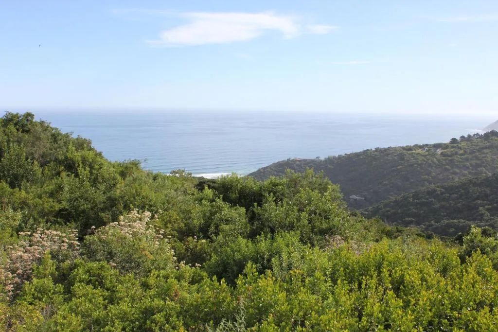 Coastal ocean view framed by lush green vegetation and forested hills